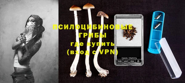 дурь Вязьма